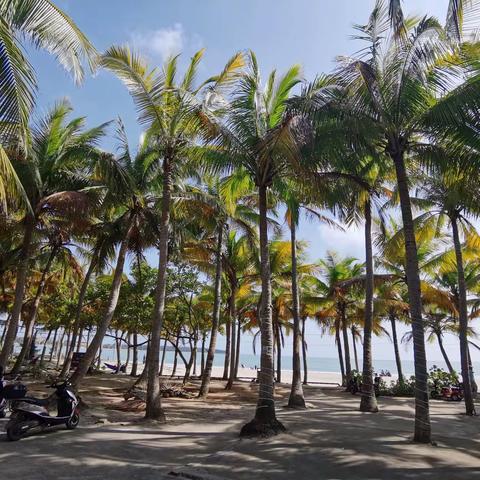 高隆湾清澜半島渔人码头