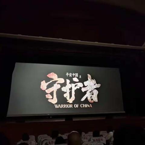 教育整顿进行时‖临漳县大队组织观看《平安中国之守护者》