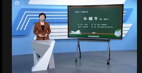 《小蜗牛》学习资源