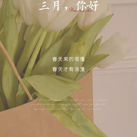 【民生城•玖峯】销售案场三月份工作简报