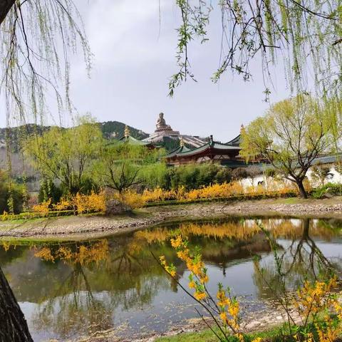 春暖花开游南山