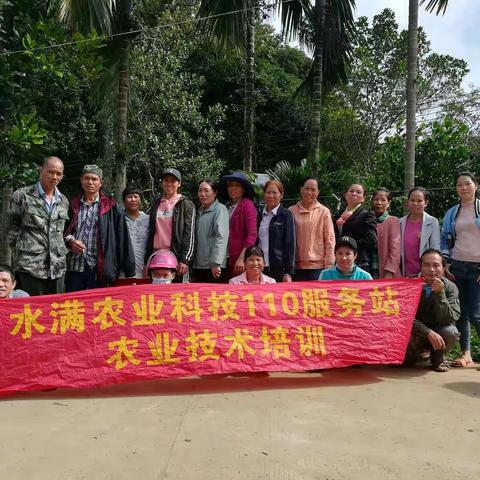 水满站于2020年11月28日下村，在槟榔园给农户现场指导施肥防寒技术与发放资料。
