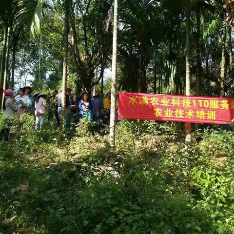 水满110服务站组织槟榔种植技术培训