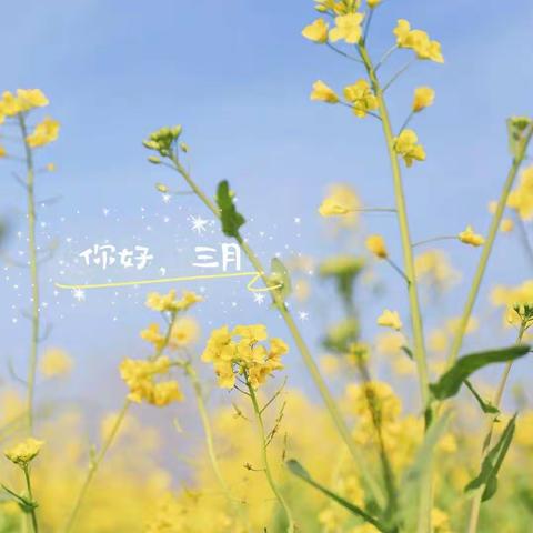 沙集中心幼儿园🌺🌺战疫时光“阳春三月——寻春而来”🌈🌷🌵活动特辑✨✨