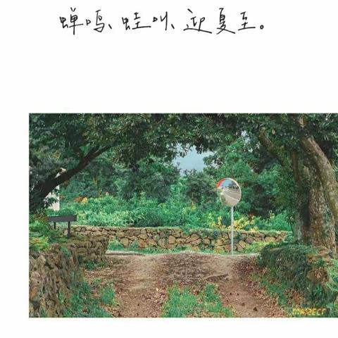 沙集镇中心幼儿园“疫”起来学习-六十一期线上指导活动