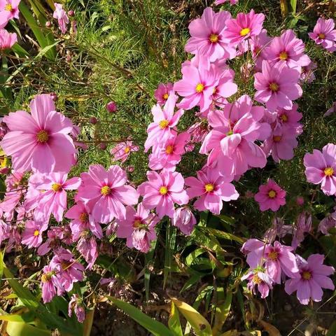 2018年10月10日，姐妹俩陪妈妈在天池晒太阳