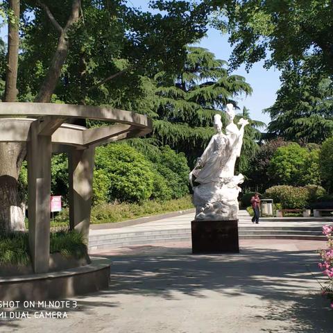 趣步伴我行之仙女游园芒稻闸