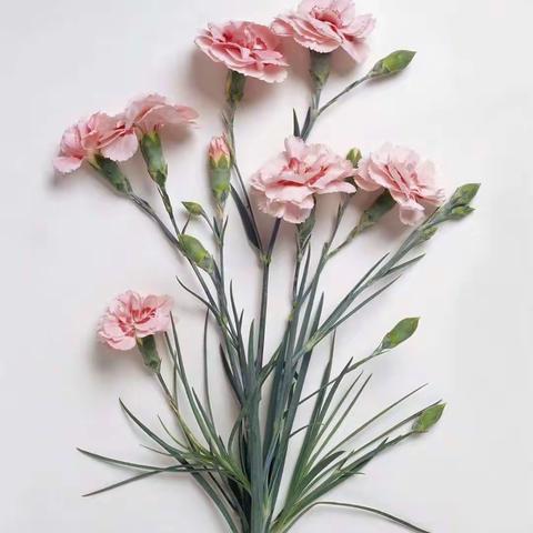 这个夏天有点暖