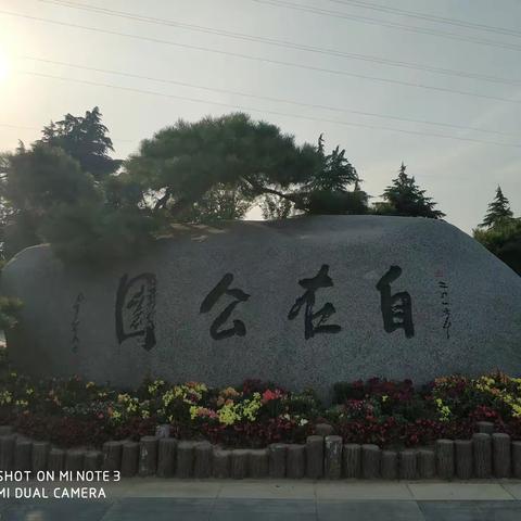 趣步伴我行之自在公园