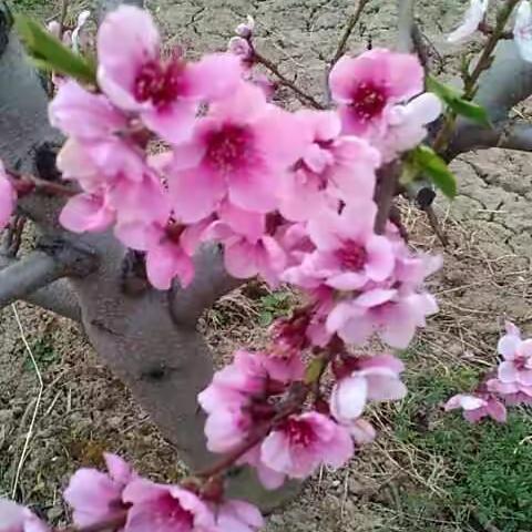 生活因你们而精彩