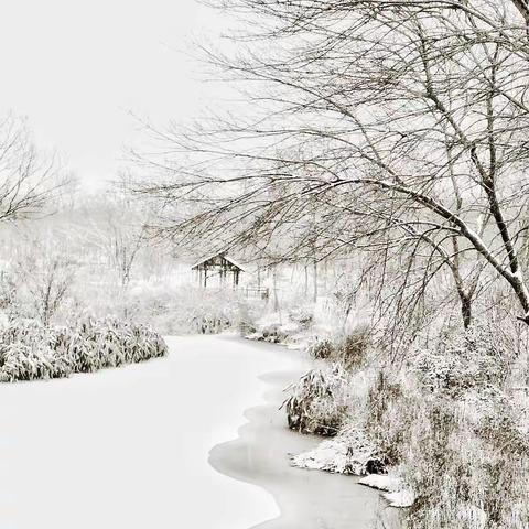 2018年的一场瑞雪，手机拍摄于三台山