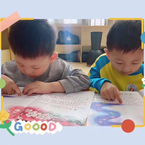 艺韵联河幼儿园中二班第四主题《大树和小花》结题花絮