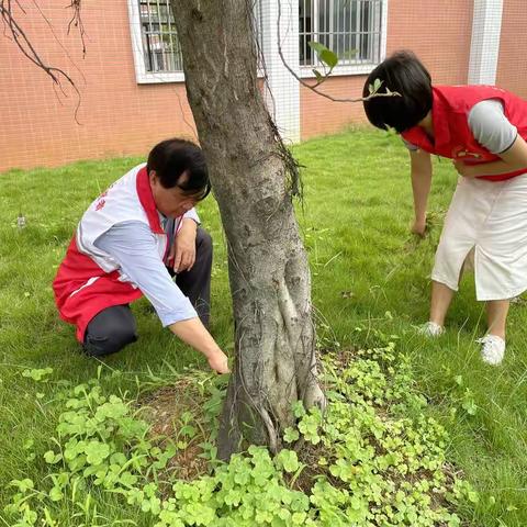 “志愿服务显担当，义务除草助创森”——韶关市武江区沐溪小学党支部开展义务除草党员志愿服务活动