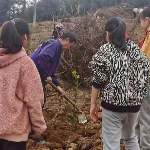 美丽上栗，绿色生活—2022年春荆坪小学植树节活动