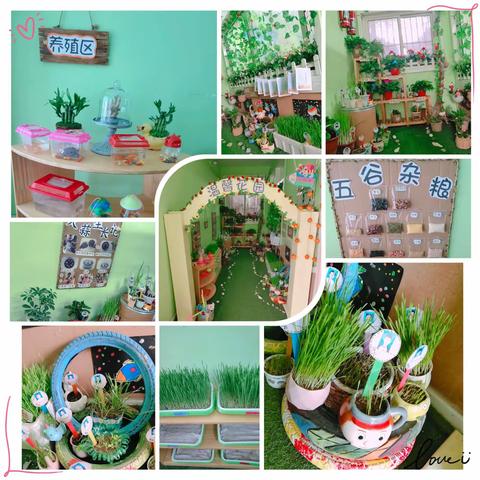 小小自然角，教育意义大——“温馨花园”之机关二幼小四班孩子们的自然角