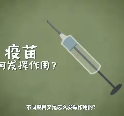 【碑林教育】西安市第七十一中学防疫站（四十七）