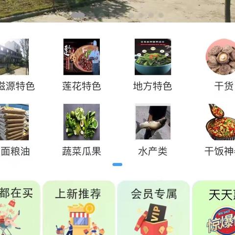 健康与美食（一） 橘子，您吃对了吗？