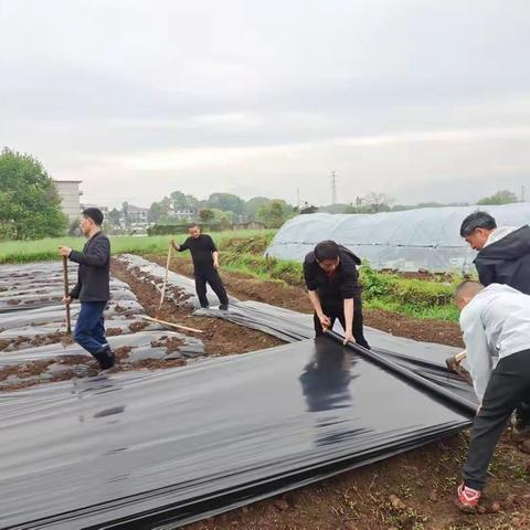 基地换新貌——黎塘学校劳动基地大变样