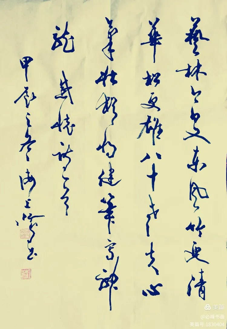 鷨ٻйӲ鷨Эᡰɾͽ