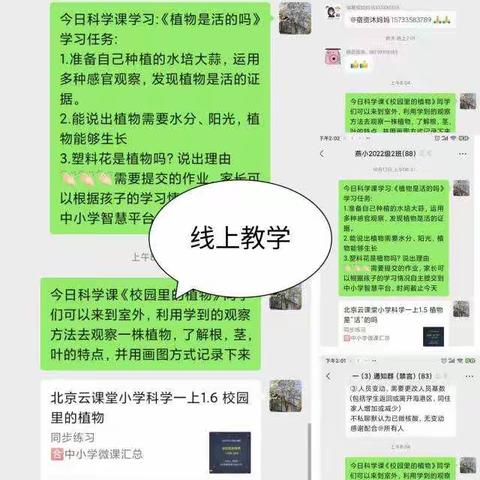 线上教学，艺彩纷呈——科任组教学篇