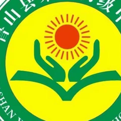 鲁山二中举行听评课活动