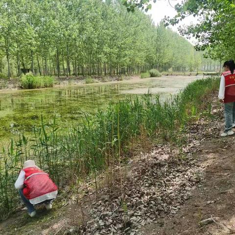 爱河护河 共护柳泉碧水清流