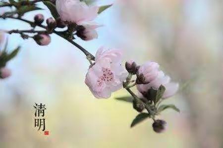 大1班生活剪影