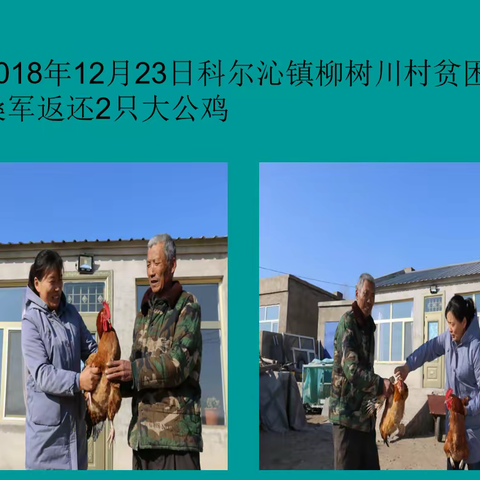乡村振兴之人才支撑篇——齐晓景产业扶贫事迹