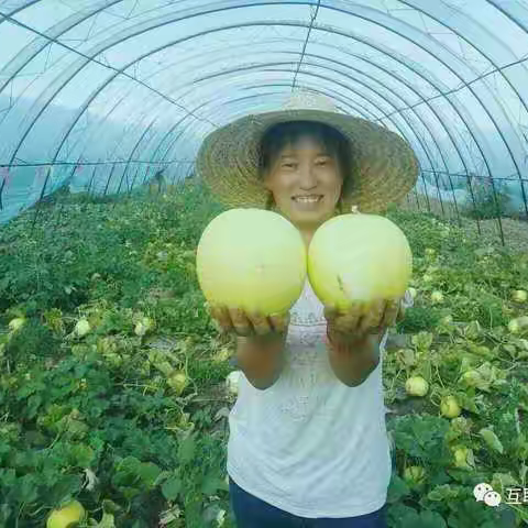 乡村振兴之人才支撑篇——展翼种植专业合作社创始人齐晓景