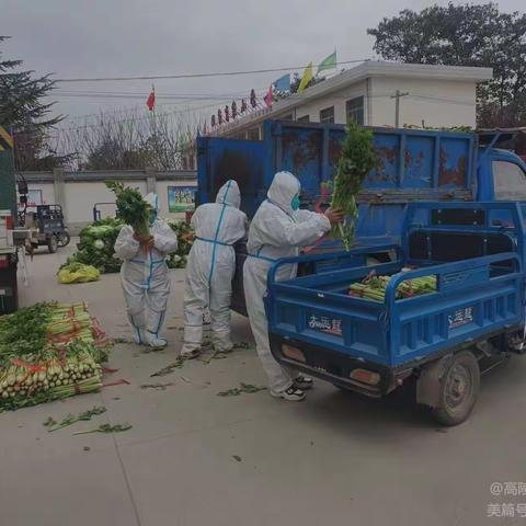 保障供应全力以赴 民生兜底高效落实——姬家街道集中力量交出疫情保供“答卷”