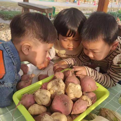 自然角里的新朋友