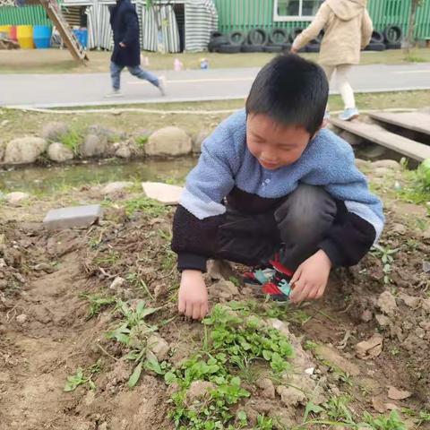 我们的种植园地