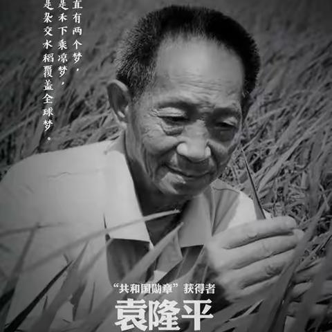 缅怀国之脊梁，铸造民族灵魂—大三班缅怀袁隆平爷爷