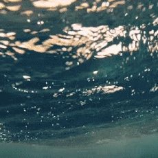 广福镇板湖启裕小学：珍爱生命，谨防溺水！——暑期防溺水安全教育