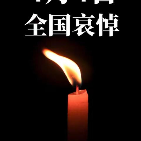 【半山观邸幼儿园】——铭记英雄，共悼逝者！缅怀烈士，追思同胞！