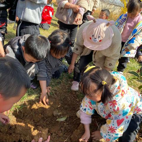 永丰镇中心幼儿园 👉樱桃一班🍒3.12植树节👈              主题活动