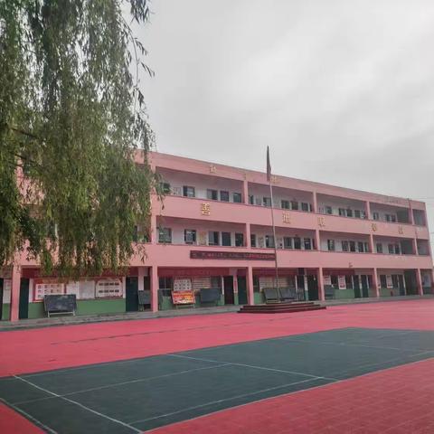 市域社会治理现代化建设活动