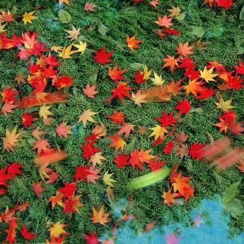 【二七班】我承诺，我做到！