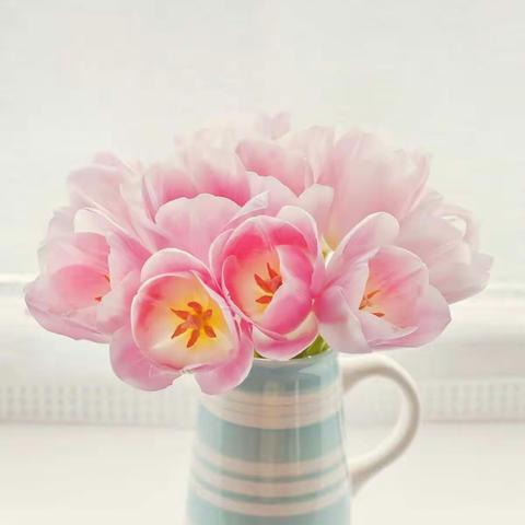 书写的修行，美学的旅程！濮阳市实验小学二年级七班——百日书写工程！