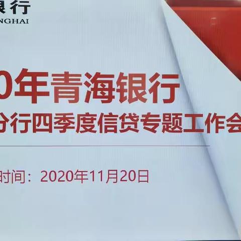 补足短板    强化风控    切实提升分行信贷资产质量——海东市分行召开2020年四季度信贷专题工作会议