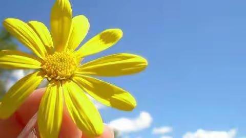 蔡庄小学安全教育活动