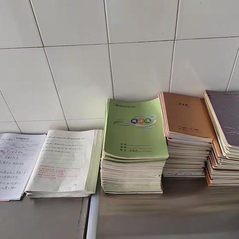 英语作业、单元检测检查反馈