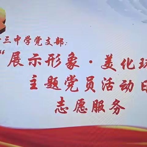 保定市第十三党支部“展示形象·美化环境”主题党员活动日活动记录