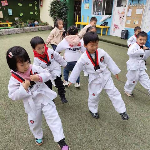 2023年贝乐幼儿园秋季跆拳道训练集锦