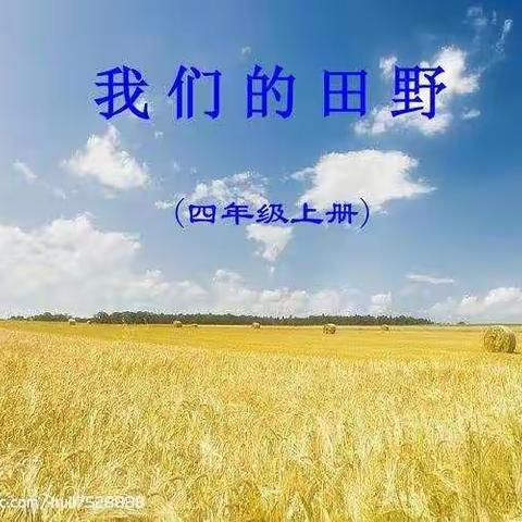 四年级音乐，九个一百之百首中外歌曲（三）我们的田野