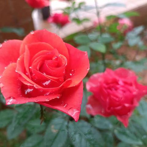 时间带不走真正的朋友！