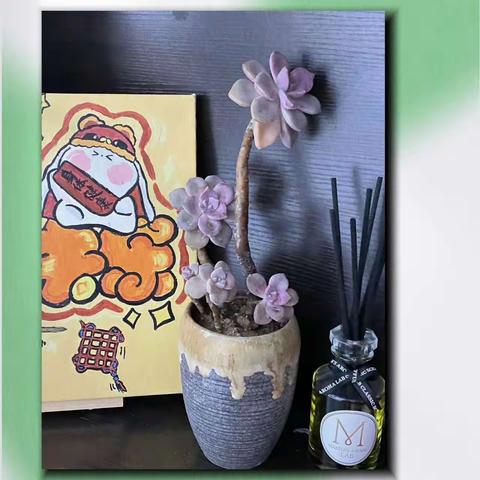 柴米油盐是生活，平平淡淡是人生