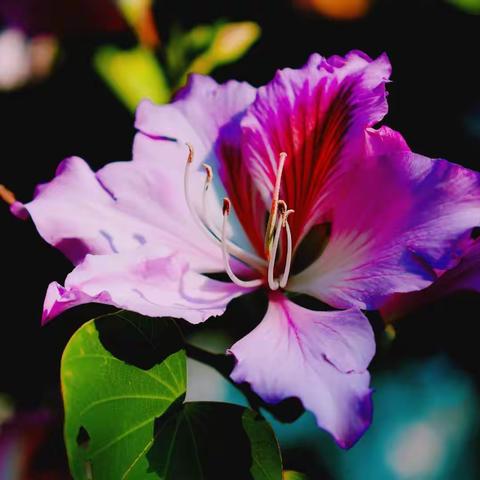 人这一生，不过是一场修行