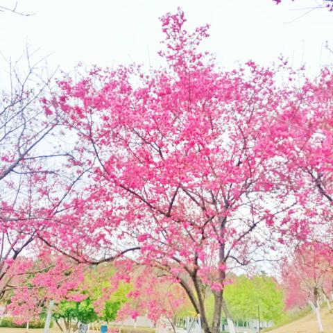 你若决定灿烂，倒影也会美得让人惊叹。