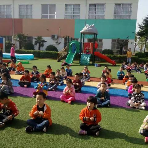 留古镇中心幼儿园中一班第九周活动剪影